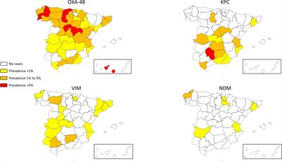 CARB-ES-19 Multicenter Study of Carbapenemase-Producing Klebsiella pneumoniae and Escherichia coli From All Spanish Provinces Reveals Interregional Spread of High-Risk Clones Such as ST307/OXA-48 and ST512/KPC-3